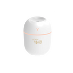 White portable humidifier