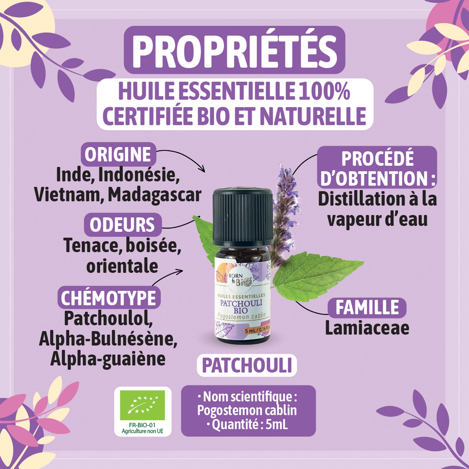 Organic Patchouli essential oil